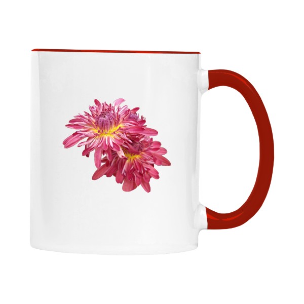 Cup colourful Flowers of summer