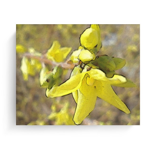 Photo Canvas 4:3 Golden rain flower