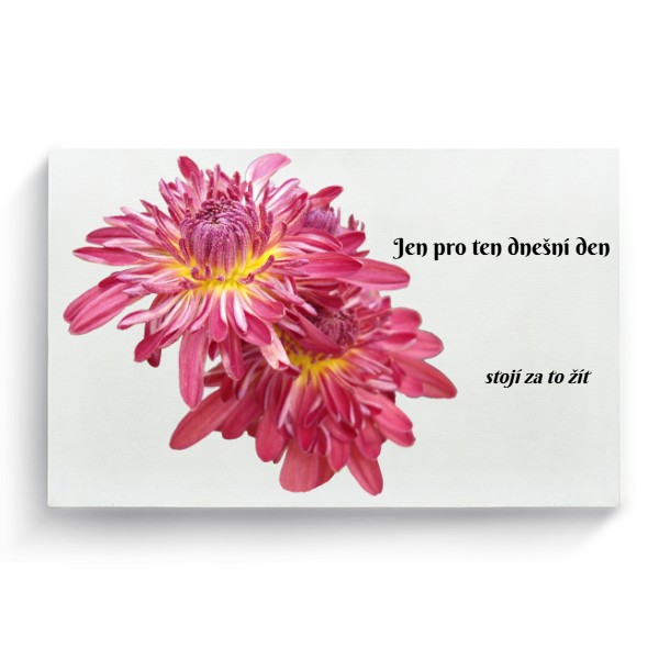 Fotoplátno 3:2 s potlačou Jen pro dnešní den
